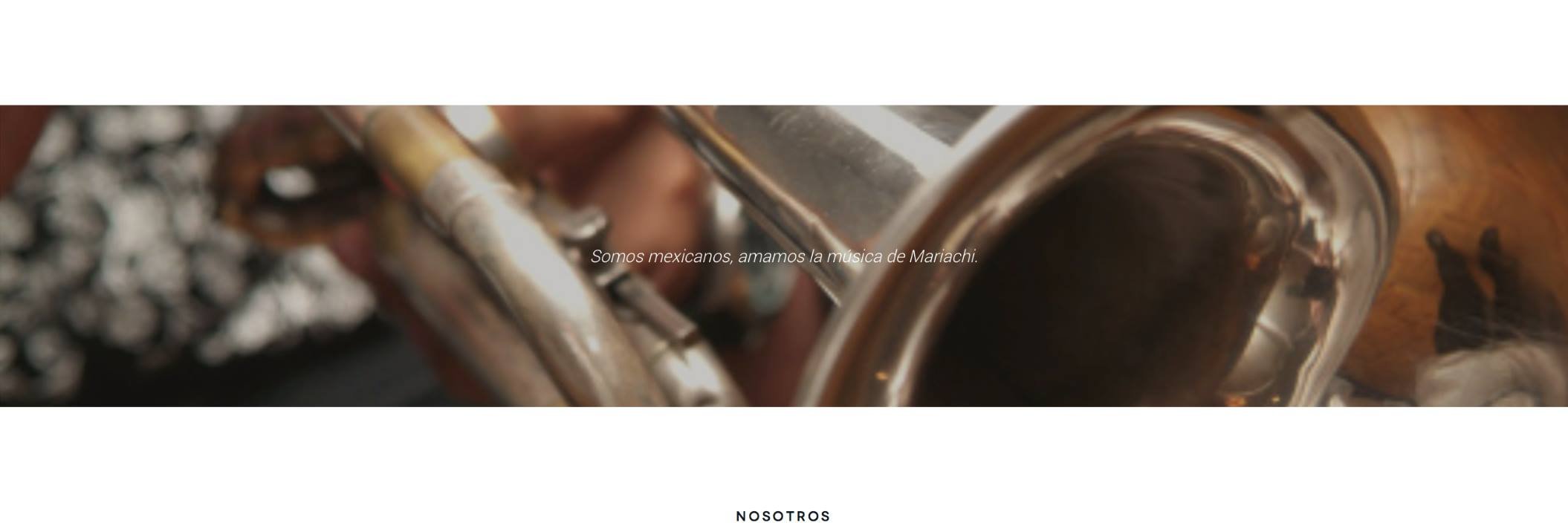 IMM banner