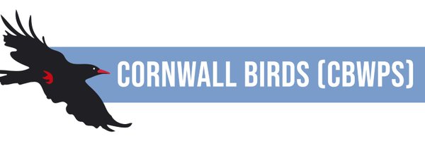 CBWPS1 Profile Banner