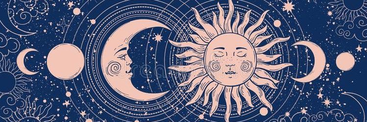 Vilde ✨🌼 banner