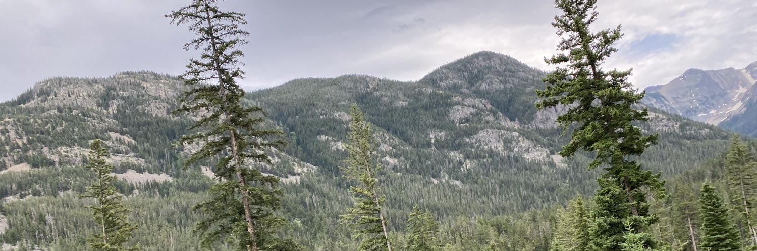 MargggMarie's profile banner image