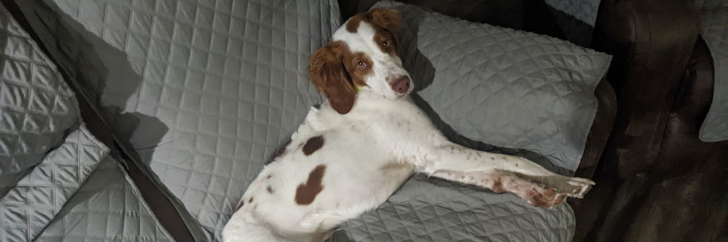 Derek Brizendine banner