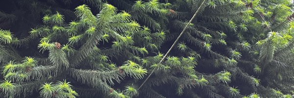 Arch_eee Profile Banner