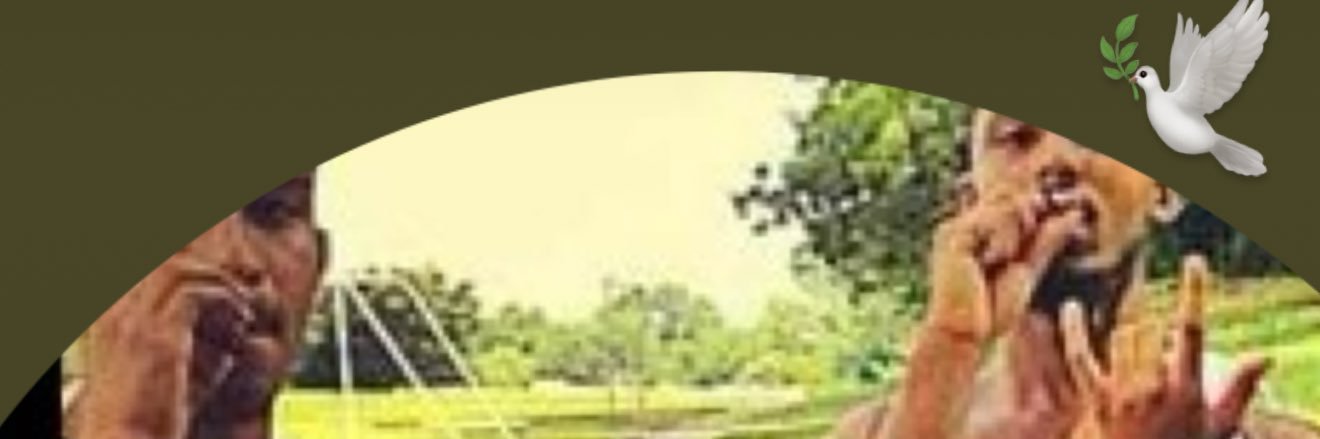SoGiftEdd's profile banner image