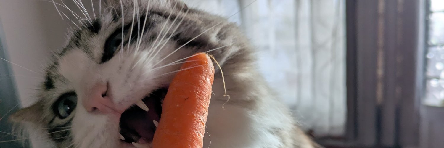 Pollisaurio's profile banner image