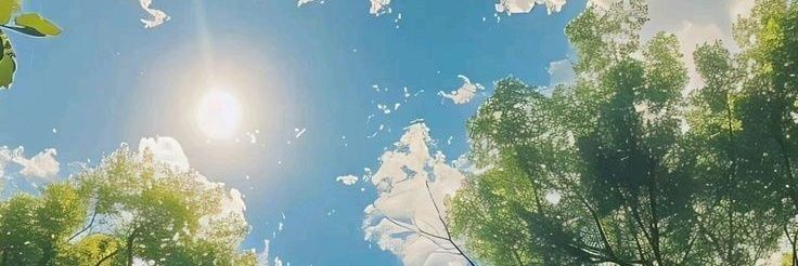 cococurry__'s profile banner image