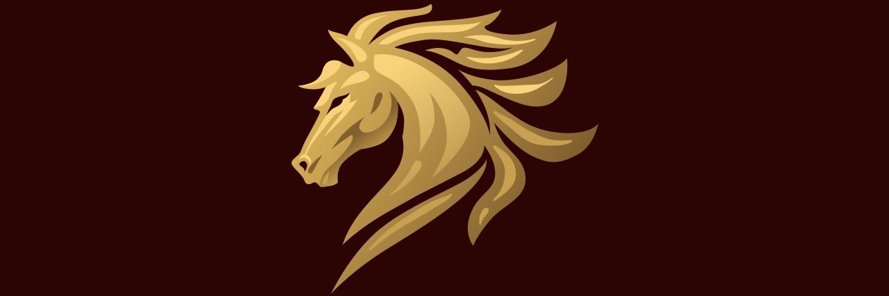 thestrapper's profile banner image
