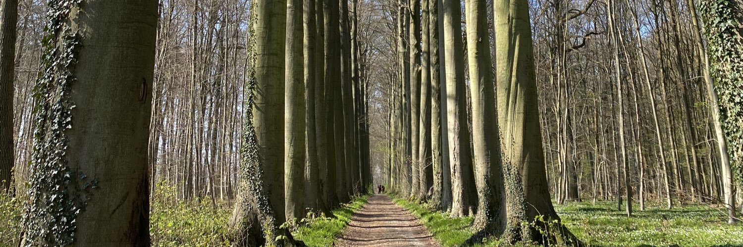 GeertVerschuer's profile banner image