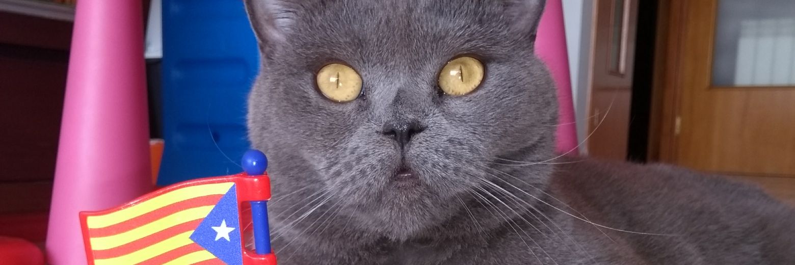 mcgun10's profile banner image