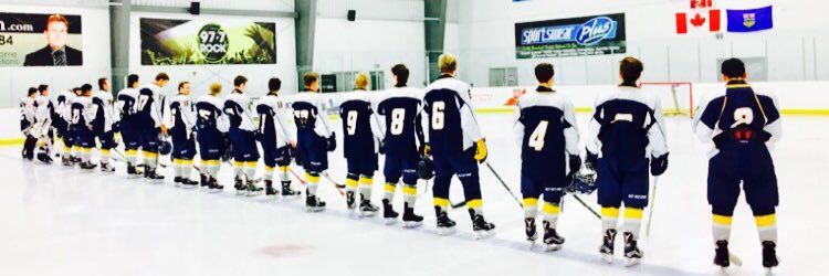 Midget AAA Storm banner
