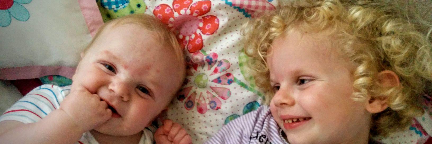 Stephen Mitchell banner