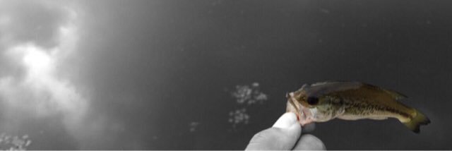 multi_angler's profile banner image