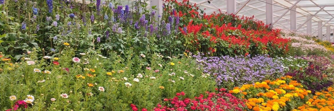 Doc MCS 🇮🇳 banner