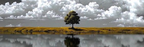 max banner