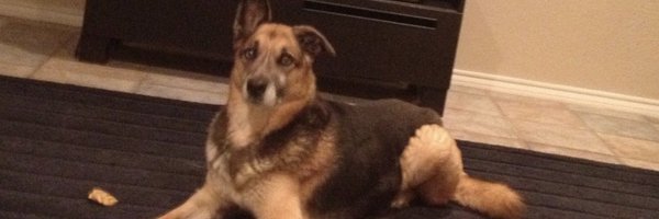 CoachBradPosner Profile Banner