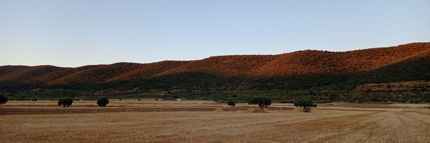 Naturalis_'s profile banner image