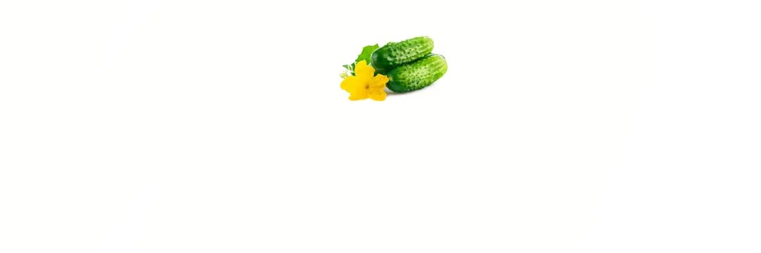 thatoneoohs's profile banner image