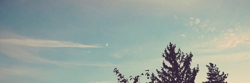 _andeh's profile banner image