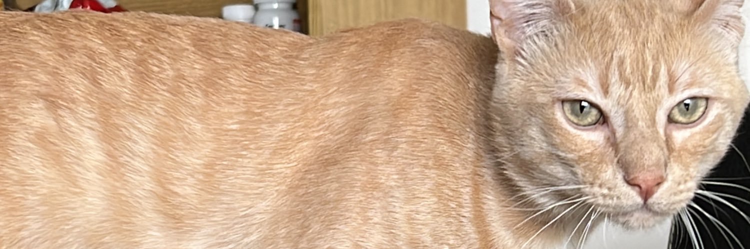 Jorge_Green's profile banner image