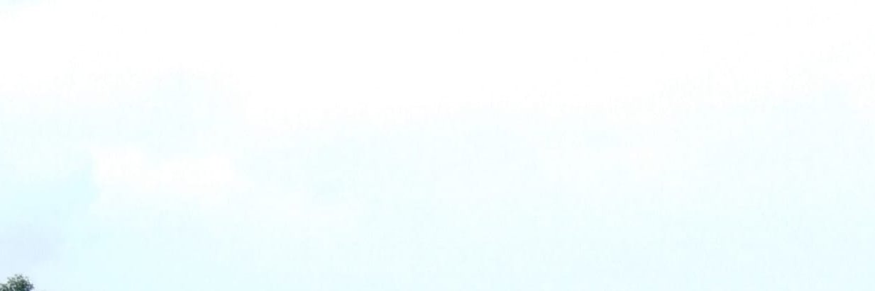 dayaisarivera's profile banner image