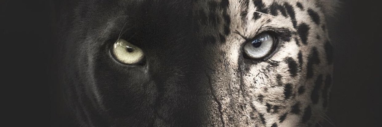 mdalhashmi's profile banner image