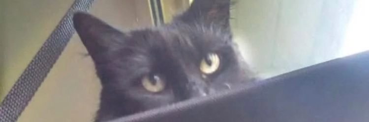 kerilyn68's profile banner image