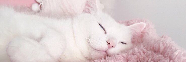 callmemichaaa's profile banner image