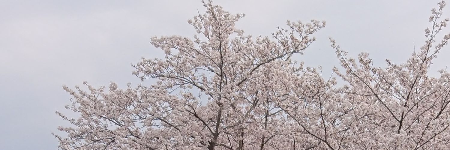 saoxile913's profile banner image