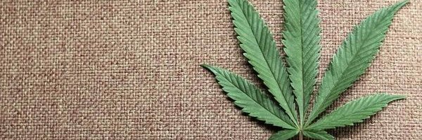 420estates4u's profile banner image