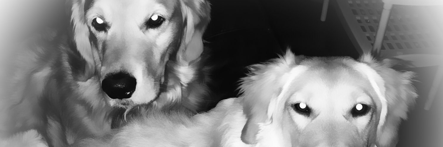 Golden_Canuck's profile banner image