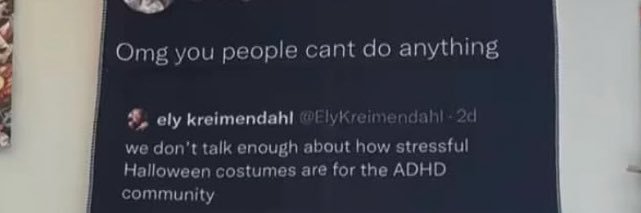 notia seashell banner