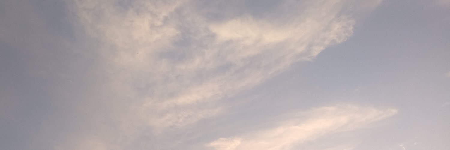 ShelliNovianti's profile banner image