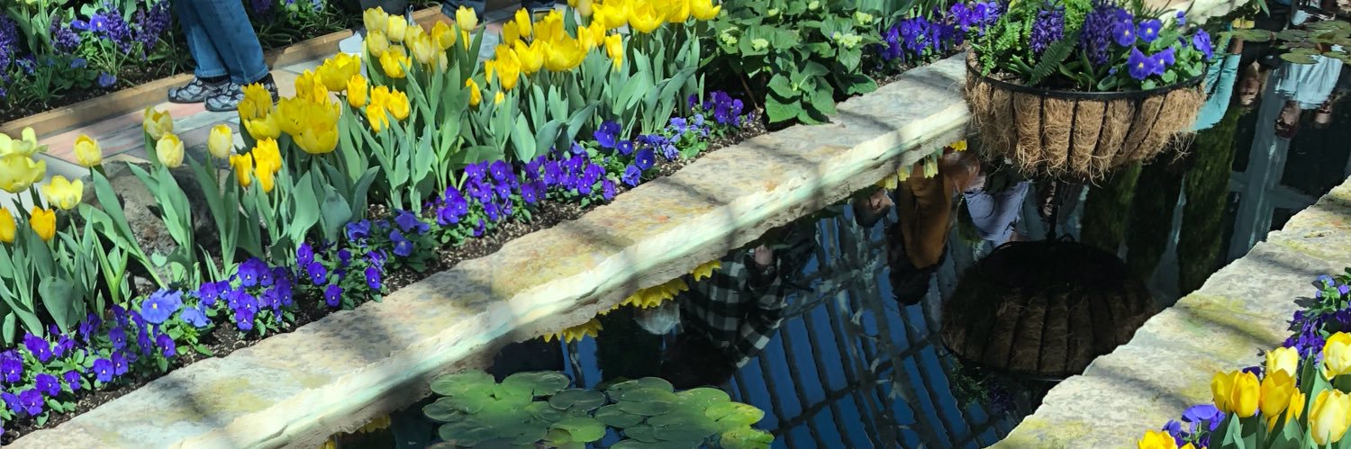 AmyColetta's profile banner image