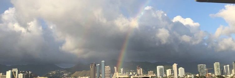 rainylis's profile banner image