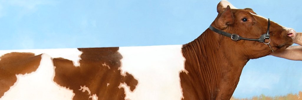JLondon63's profile banner image