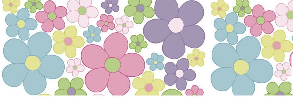 anisall's profile banner image