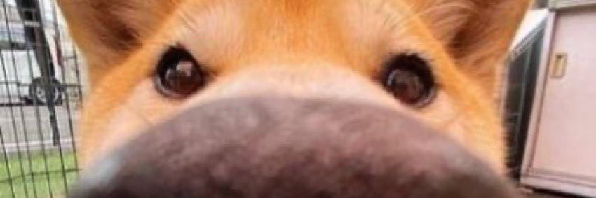 K banner