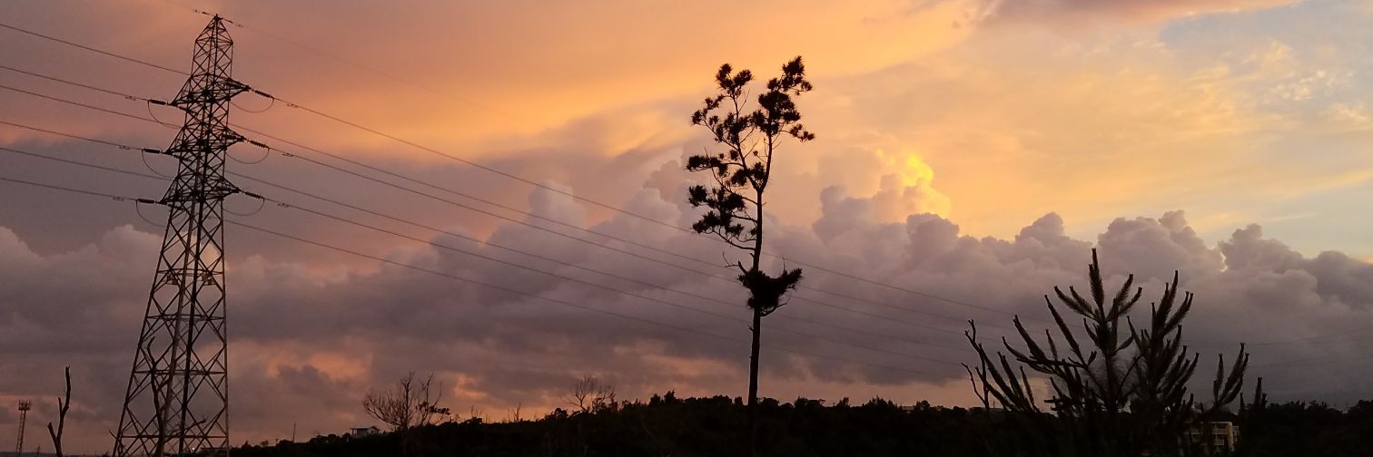 maitake4211's profile banner image