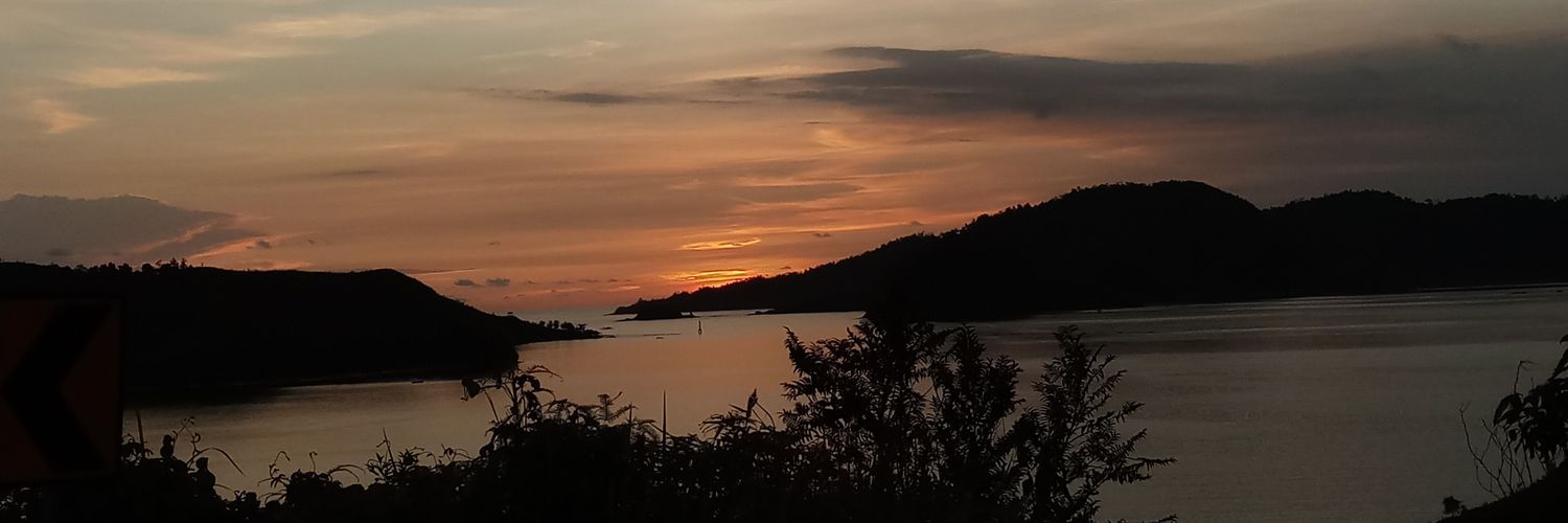 Ari M Satrianagara banner