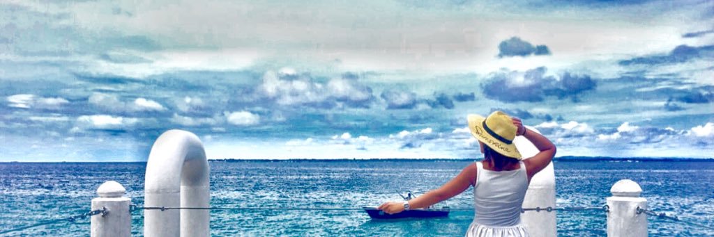 louisemachinal's profile banner image