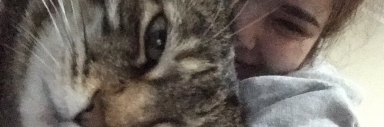 tialauu's profile banner image