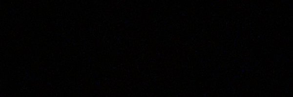 DickFooDog Profile Banner