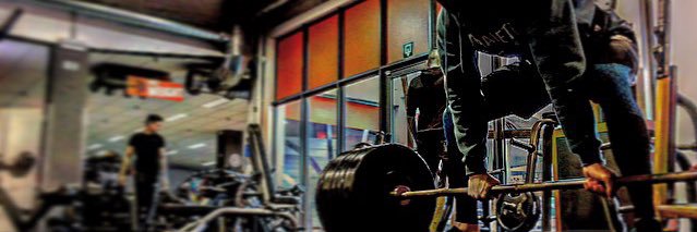 Dan banner