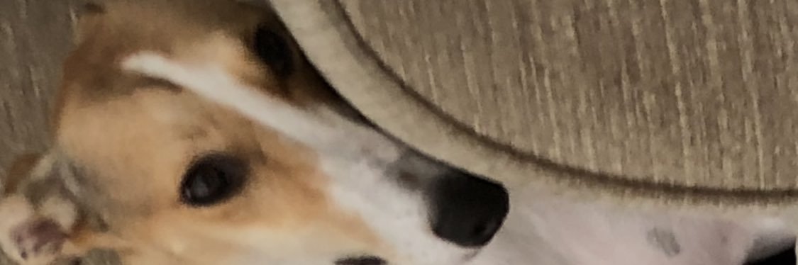 Matthewk21's profile banner image