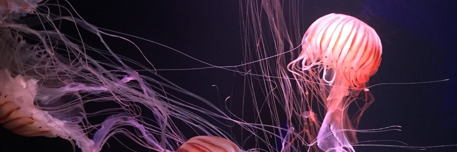 YY10076's profile banner image