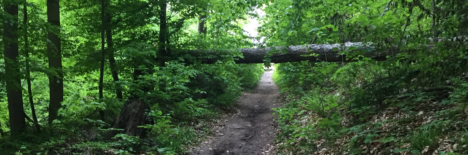 Sant-Rayn Pasricha banner