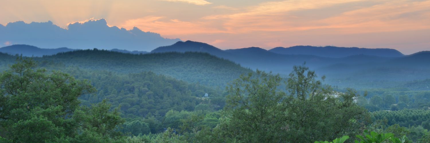 Gabriel Ortuño banner