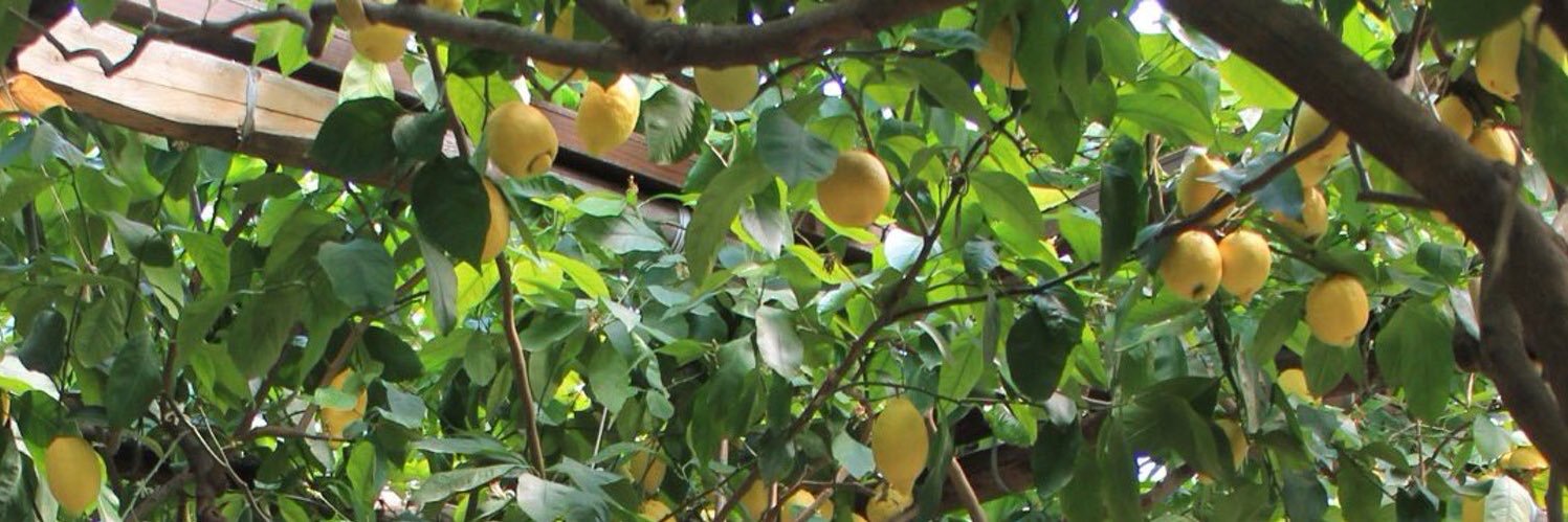 AM__ll1's profile banner image