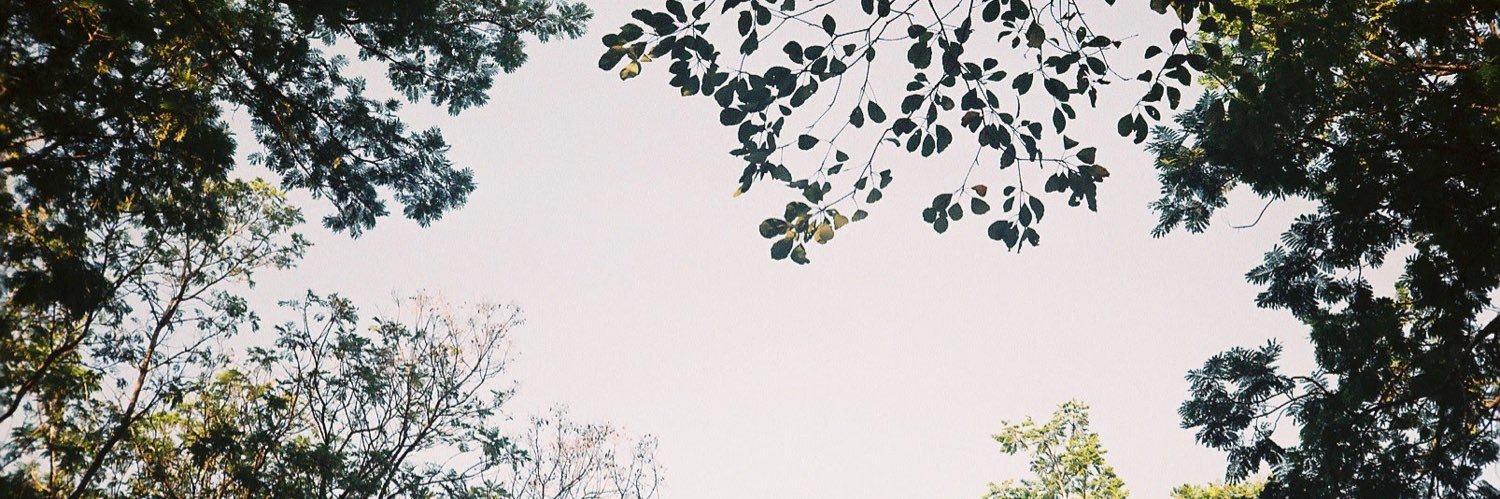 puth_tea's profile banner image