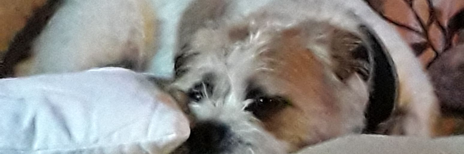 allfordanny's profile banner image