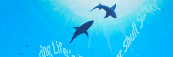 busdsharks Profile Banner